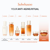 Concentrated Ginseng Rejuvenating Cream Rich 30ml