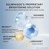 Lumiwise Discoloration Corrector 30ml