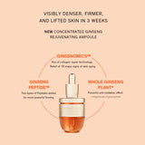 [NEW] Concentrated Ginseng Rejuvenating Ampoule 20g