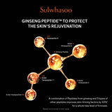 Concentrated Ginseng Rejuvenating Serum 50ml