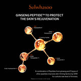 Concentrated Ginseng Rejuvenating Cream Rich 50ml